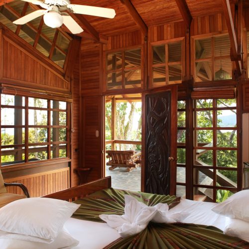 2016-3159-aguiladeosa